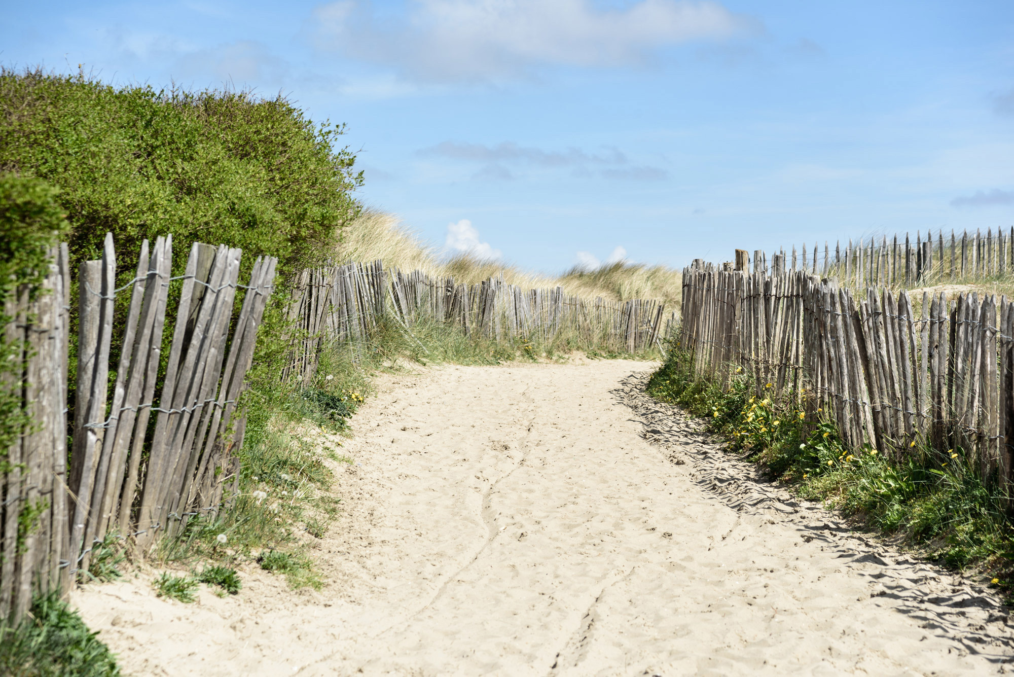 Blankenberge Duinen | Moby Dick